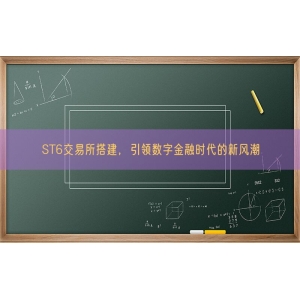 ST6交易所搭建，引领数字金融时代的新风潮