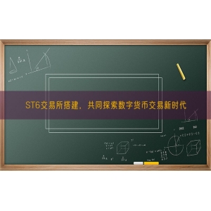 ST6交易所搭建，共同探索数字货币交易新时代