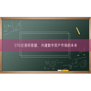 ST6交易所搭建，共建数字资产市场的未来