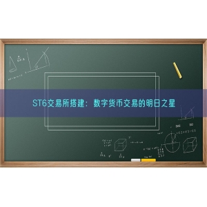 ST6交易所搭建：数字货币交易的明日之星