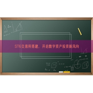 ST6交易所搭建，开启数字资产投资新风向