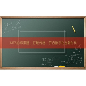 MT5白标搭建：打破传统，开启数字化金融时代