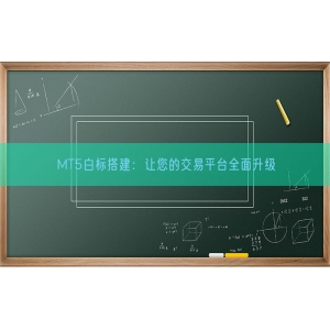 MT5白标搭建：让您的交易平台全面升级