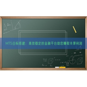 MT5白标搭建：高效稳定的金融平台助您赚取丰厚利润