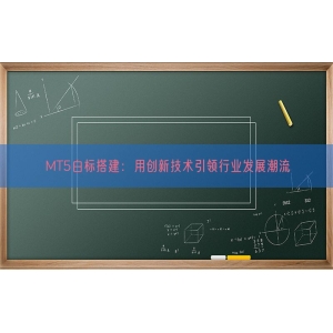 MT5白标搭建：用创新技术引领行业发展潮流