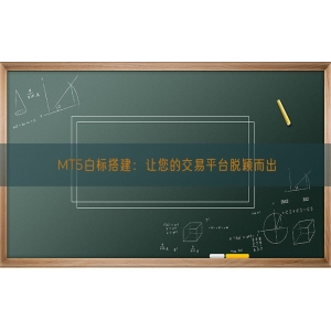 MT5白标搭建：让您的交易平台脱颖而出