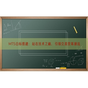 MT5白标搭建：站在技术之巅，引领交易变革潮流