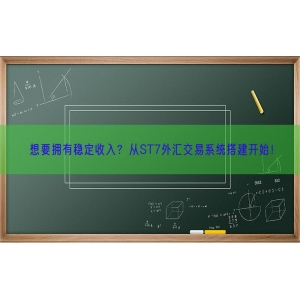 想要拥有稳定收入？从ST7外汇交易系统搭建开始！