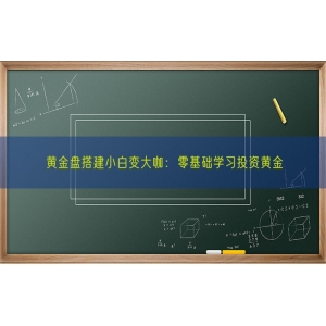 黄金盘搭建小白变大咖：零基础学习投资黄金