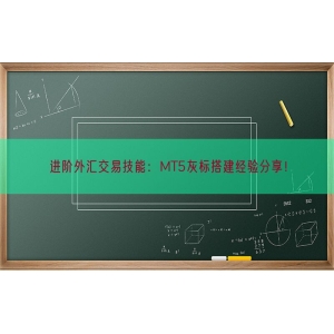 进阶外汇交易技能：MT5灰标搭建经验分享！