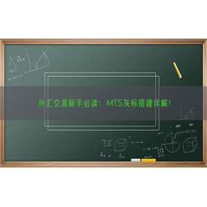 外汇交易新手必读：MT5灰标搭建详解！