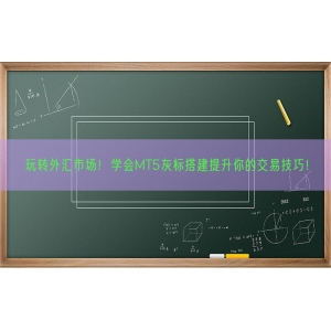 玩转外汇市场！学会MT5灰标搭建提升你的交易技巧！