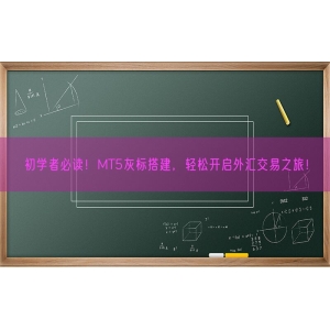 初学者必读！MT5灰标搭建，轻松开启外汇交易之旅！