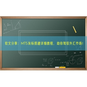 软文分享：MT5灰标搭建详细教程，助你驾驭外汇市场！