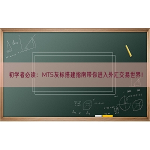 初学者必读：MT5灰标搭建指南带你进入外汇交易世界！