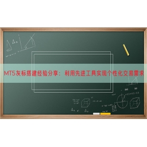 MT5灰标搭建经验分享：利用先进工具实现个性化交易需求