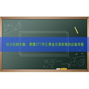 从小白到大咖：掌握ST7外汇黄金交易系统的必备技能