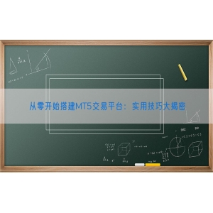 从零开始搭建MT5交易平台：实用技巧大揭密