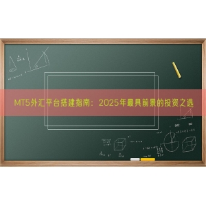 MT5外汇平台搭建指南：2025年最具前景的投资之选