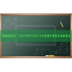 聪明的选择：2025年MT5外汇平台搭建引领投资者新革命