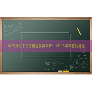 MT5外汇平台搭建的优势分析：2025年致富的捷径