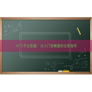 MT5平台搭建：从入门到精通的全程指导