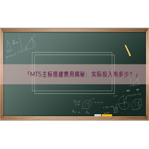 「MT5主标搭建费用揭秘：实际投入有多少？」