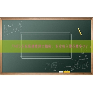 「MT5主标搭建费用大揭密：专业投入需花费多少？」