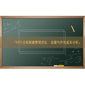 「MT5主标搭建费用对比：自建与外包成本分析」
