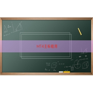MT4主标租用