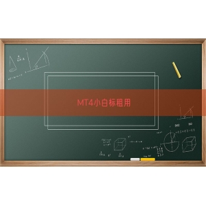 MT4小白标租用