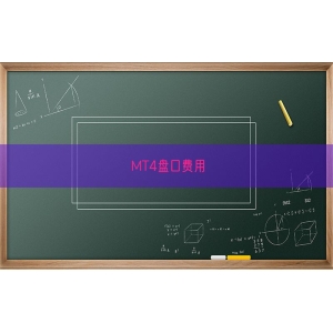 MT4盘口费用