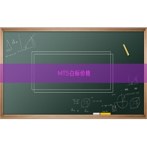 MT5白标价格
