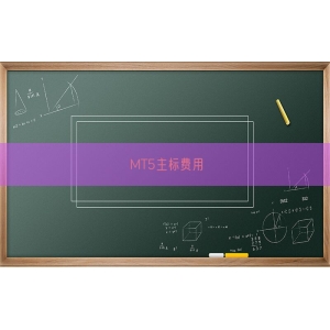 MT5主标费用