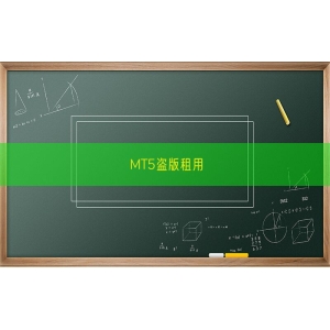 MT5盗版租用