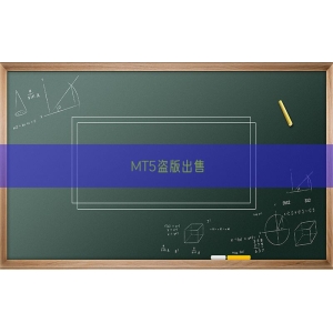 MT5盗版出售