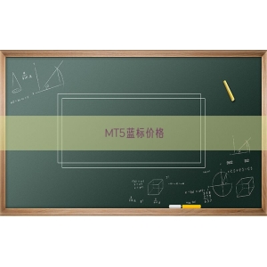 MT5蓝标价格