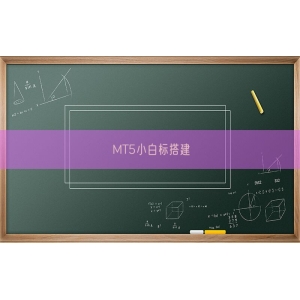 MT5小白标搭建