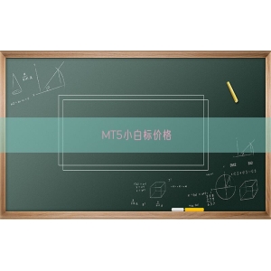 MT5小白标价格