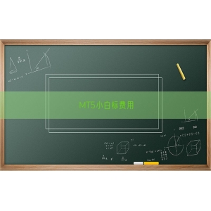 MT5小白标费用