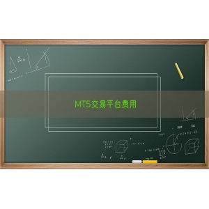 MT5交易平台费用