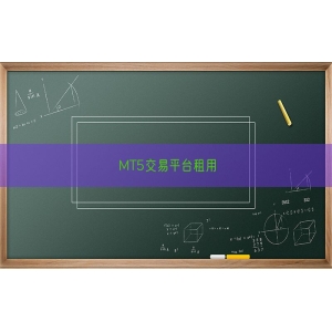 MT5交易平台租用