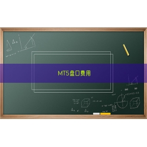 MT5盘口费用