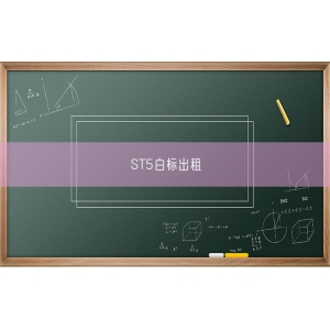 ST5白标出租