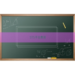 ST5平台费用