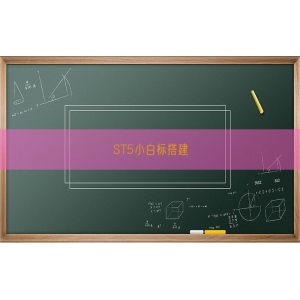 ST5小白标搭建