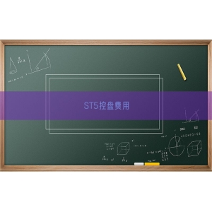 ST5控盘费用