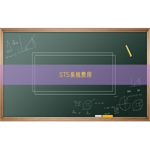 ST5系统费用