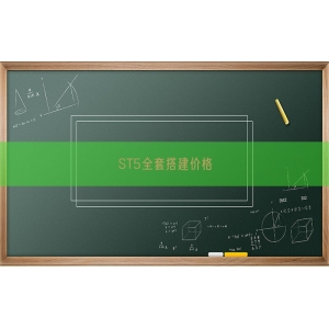 ST5全套搭建价格