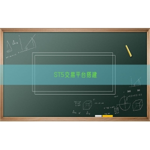 ST5交易平台搭建